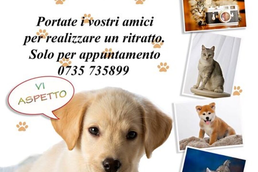 NOVITA’ …servizio fotografico al tuo animale domestico