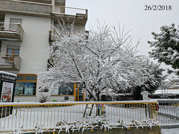 Oggi il FOTO STUDIO IMMAGINE si è tinto di un magico bianco ♥️🌏🍀🏔️ #neve #snow #bianco #white #inverno #freddo #grottammare #fotostudioimmagine